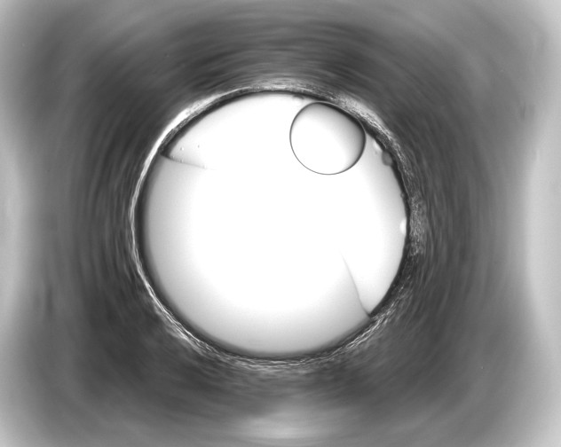 X0000084521032200703161544