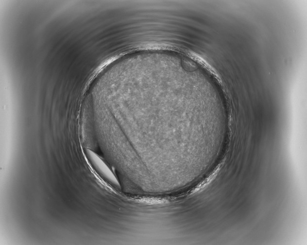 X0000084521033200703161544