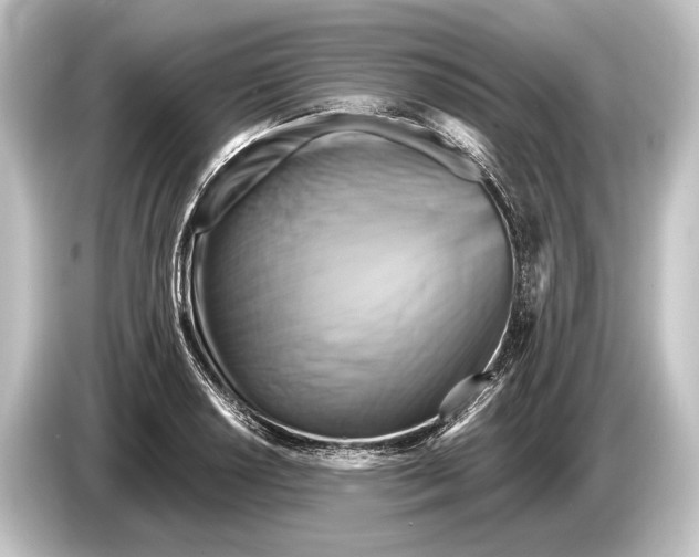 X0000084521034200703161544