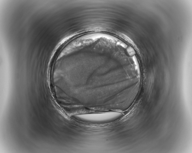 X0000084521035200703161544