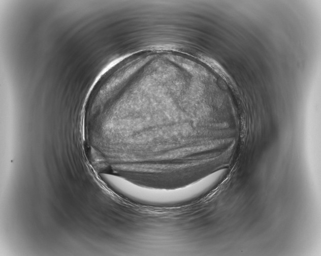 X0000084521036200703161544