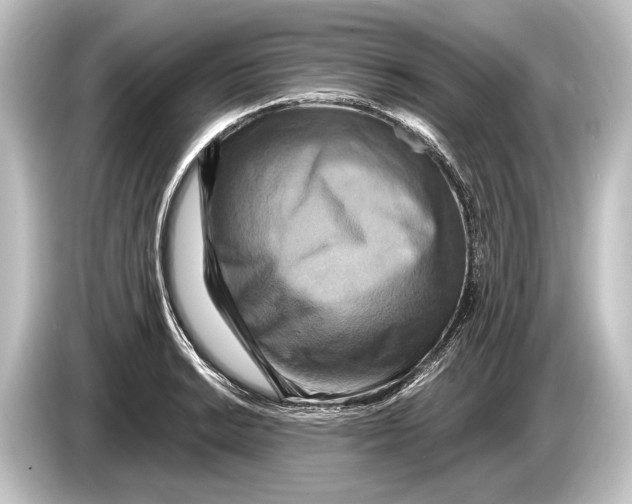 X0000084521038200703161544