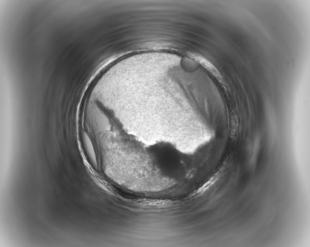 X0000084521039200703161544