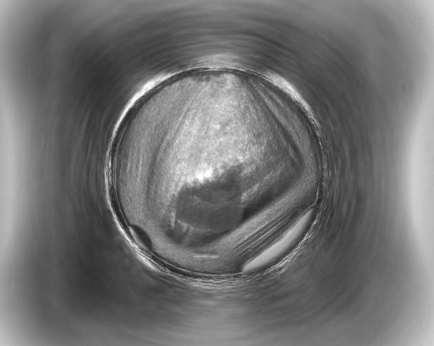 X0000084521040200703161544