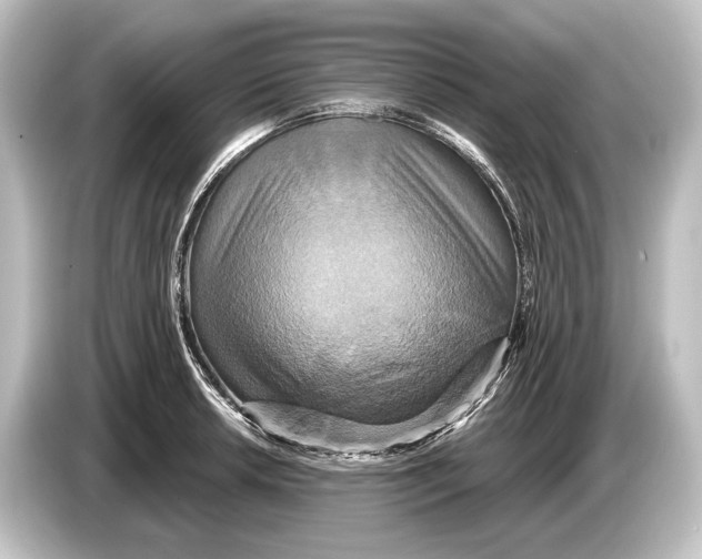 X0000084521042200703161544