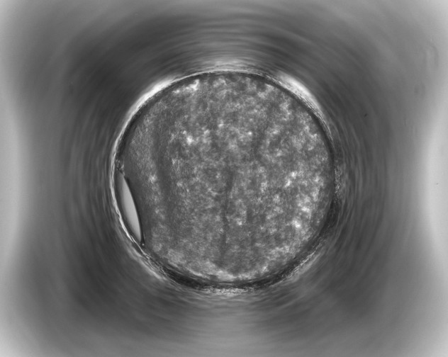 X0000084521043200703161544