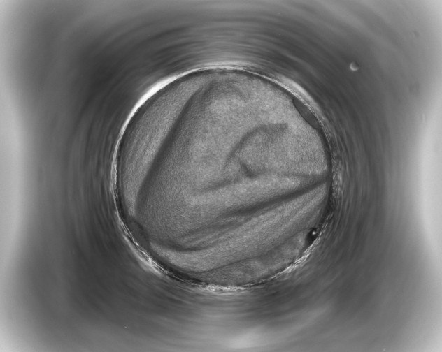 X0000084521044200703161544