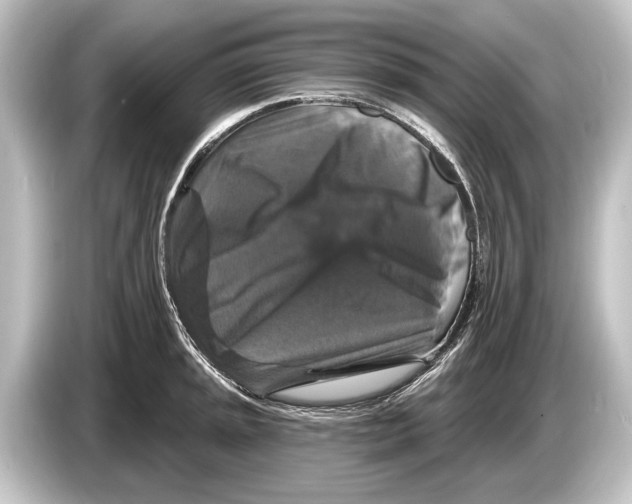 X0000084521045200703161544