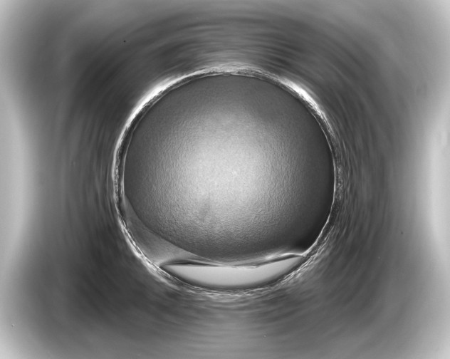 X0000084521046200703161544