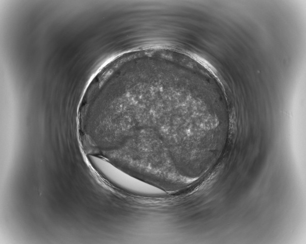 X0000084521047200703161544