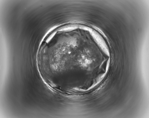 X0000084521048200703161544