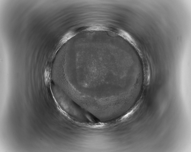 X0000084521049200703161544