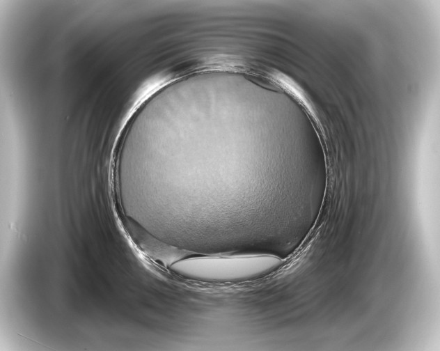 X0000084521050200703161544