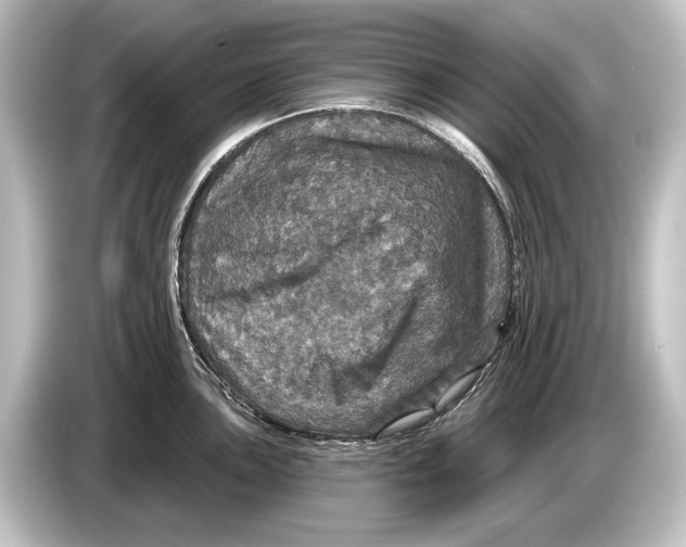 X0000084521051200703161544