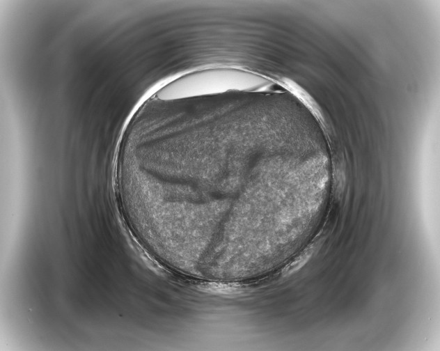 X0000084521052200703161544