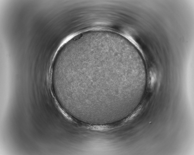 X0000084521053200703161544