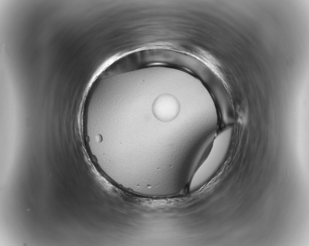 X0000084521054200703161544