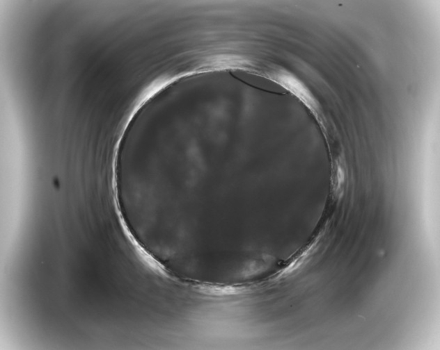 X0000084521055200703161544