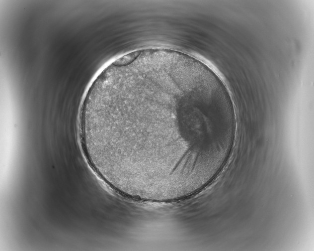 X0000084521056200703161544