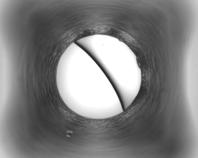 X0000084521058200703161543