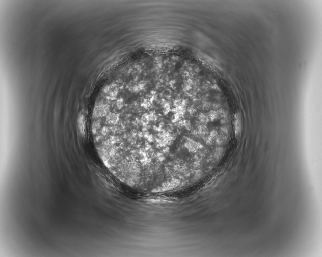 X0000084521059200703161543