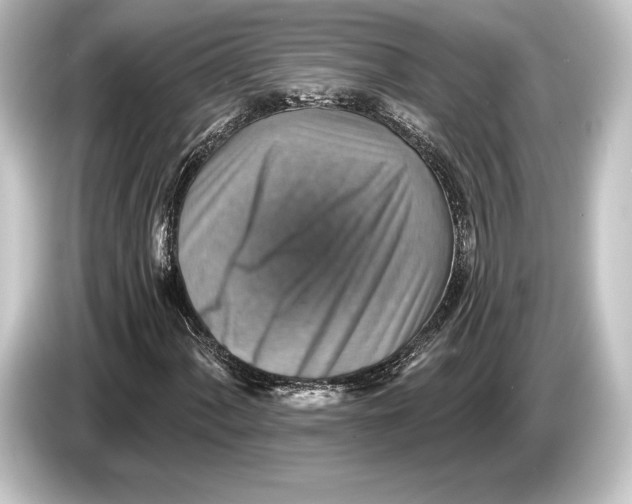 X0000084521060200703161543