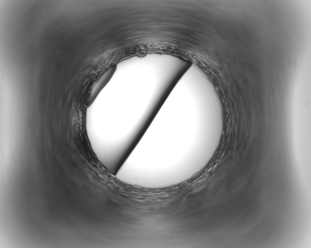 X0000084521061200703161543