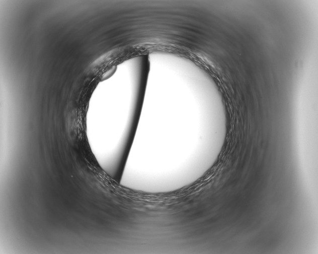 X0000084521062200703161543