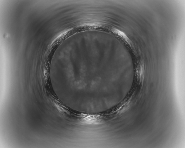 X0000084521064200703161543