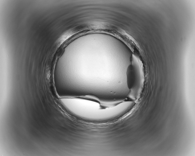 X0000084521065200703161543