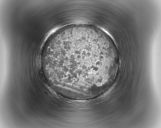 X0000084521067200703161543