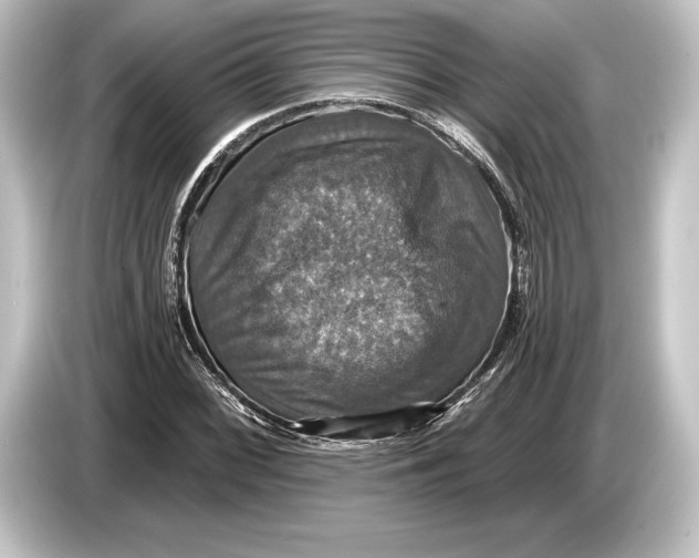 X0000084521068200703161543