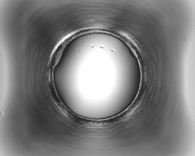 X0000084521069200703161543