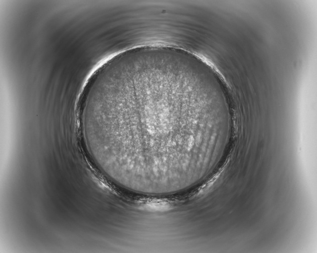 X0000084521070200703161543