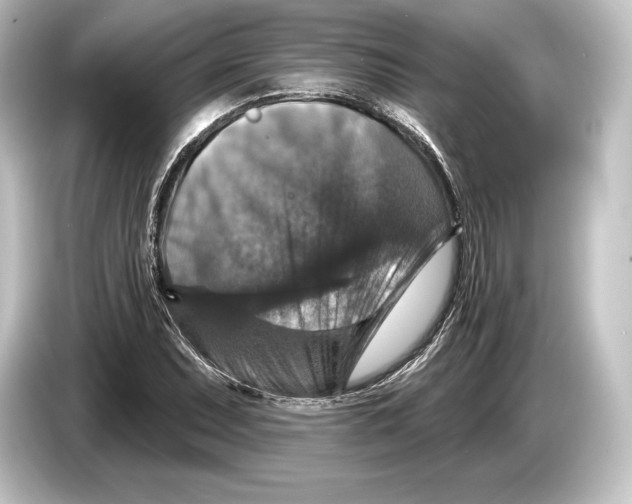 X0000084521071200703161543