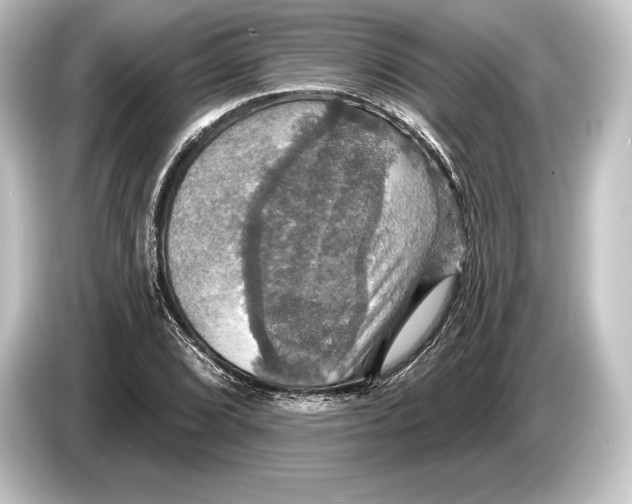 X0000084521072200703161543