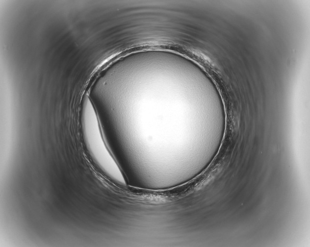 X0000084521073200703161543