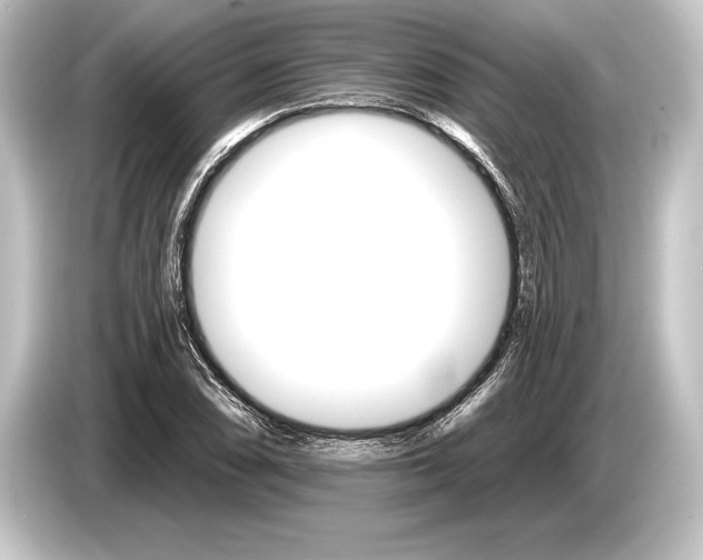 X0000084521074200703161543