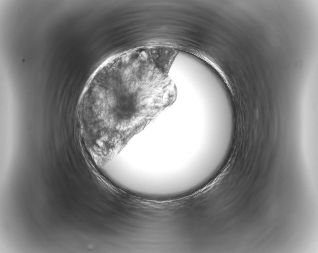 X0000084521075200703161543