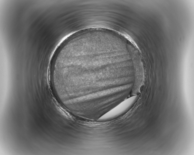 X0000084521076200703161543