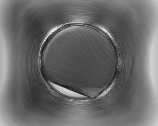 X0000084521077200703161543