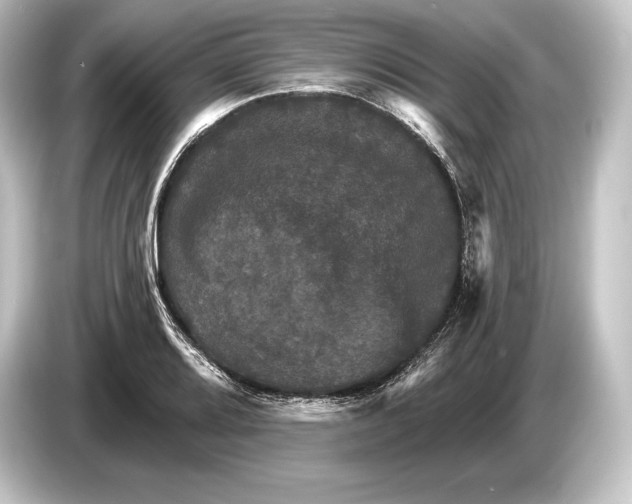 X0000084521080200703161543