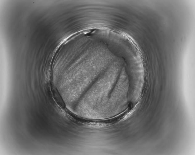 X0000084521081200703161543