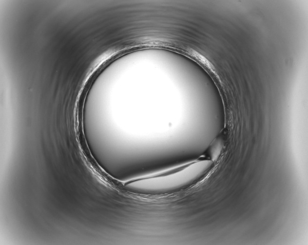 X0000084521082200703161543