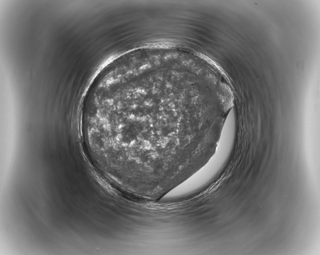 X0000084521083200703161543