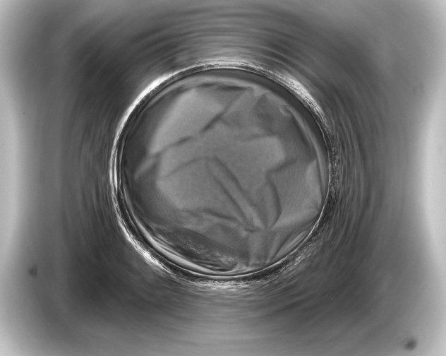 X0000084521084200703161543