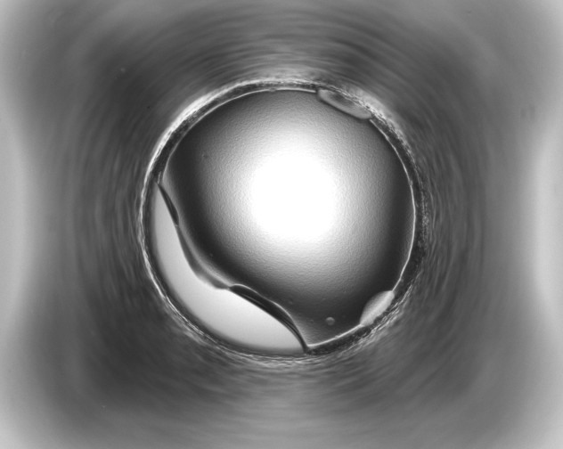 X0000084521085200703161543