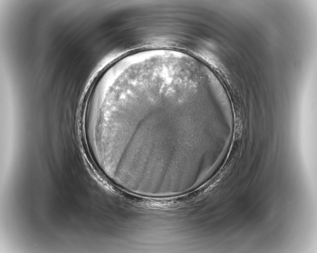 X0000084521086200703161543