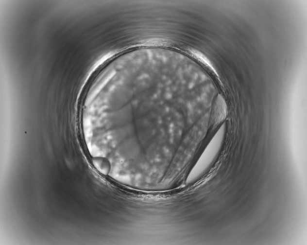 X0000084521087200703161543