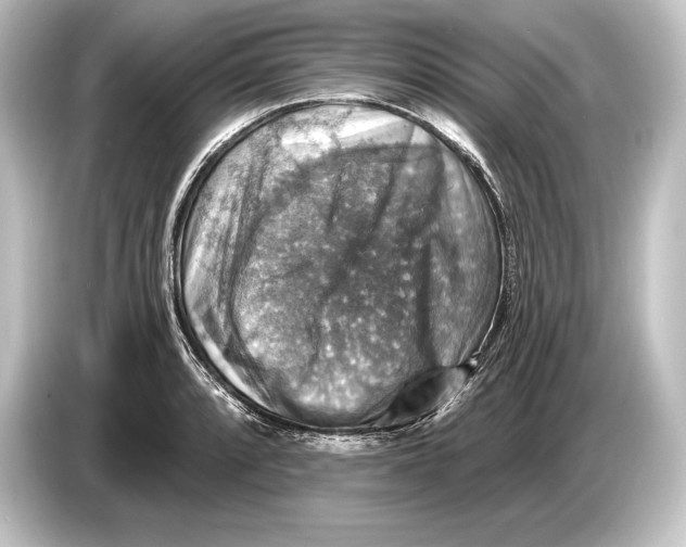 X0000084521088200703161543